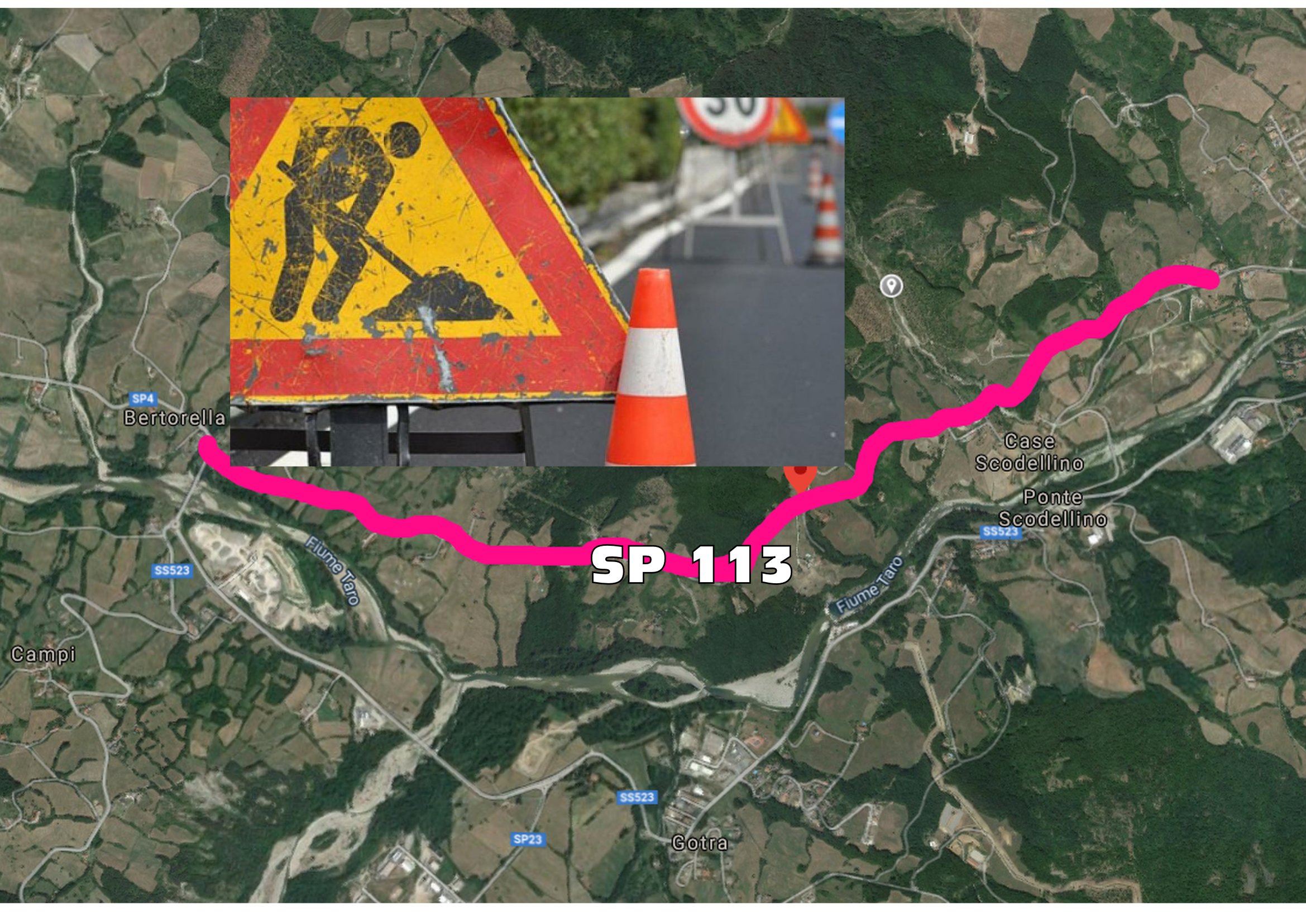 SP113