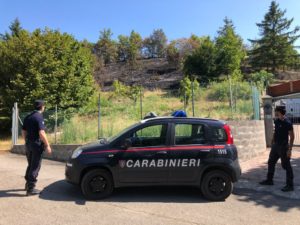 Incendio boschivo Torre Traversetolo