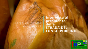 fungo porcino