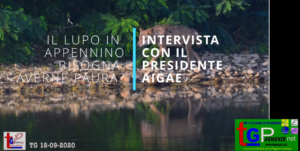 intervista aigeae