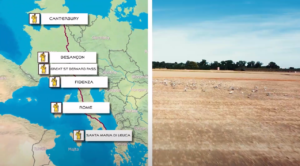 via francigena