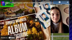 figu vara