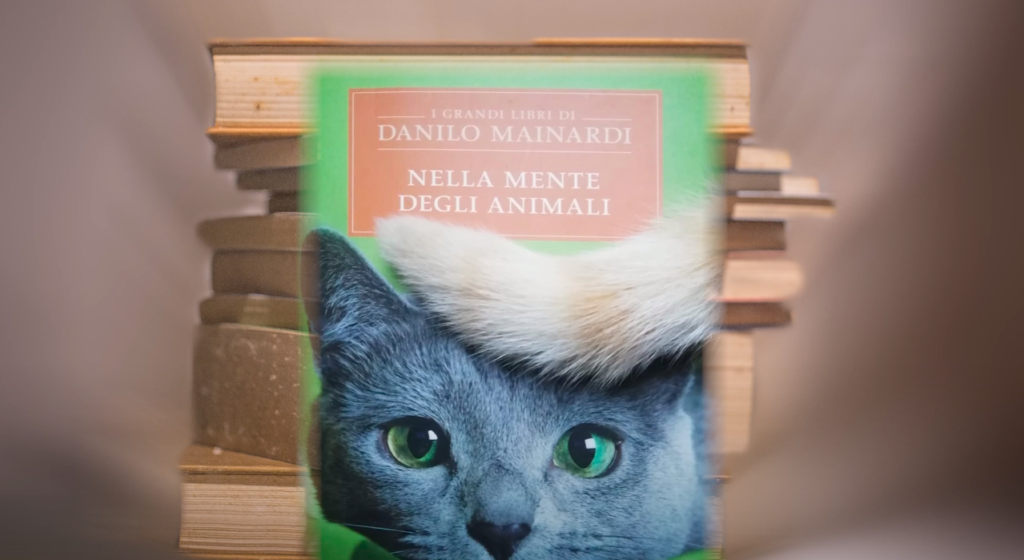 nella mente degli animali