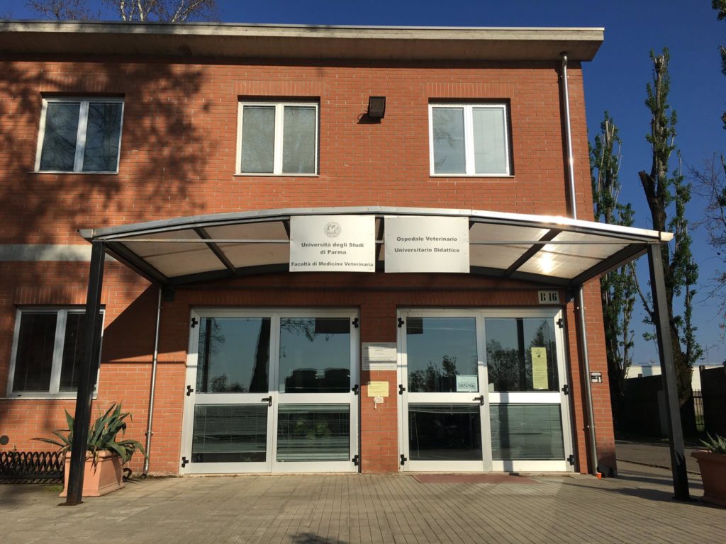 ospedale unipr