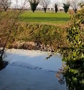 canale galasso parma