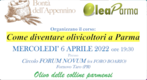 olio colline parmensi