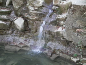 DSCF8367