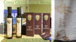 corso olivicotori bontà appennino