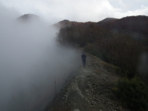 DSCF8779