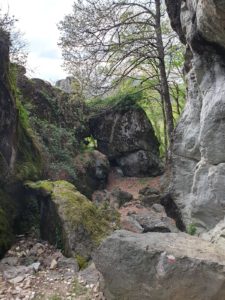 IMG-20220501-WA0040