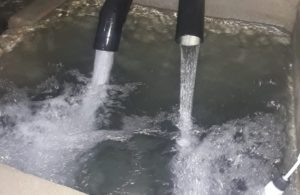 buzzo acqua