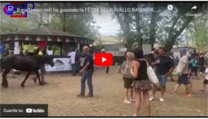 Immagine 2022-08-16 210425