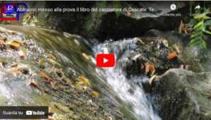 Immagine 2022-08-16 224021