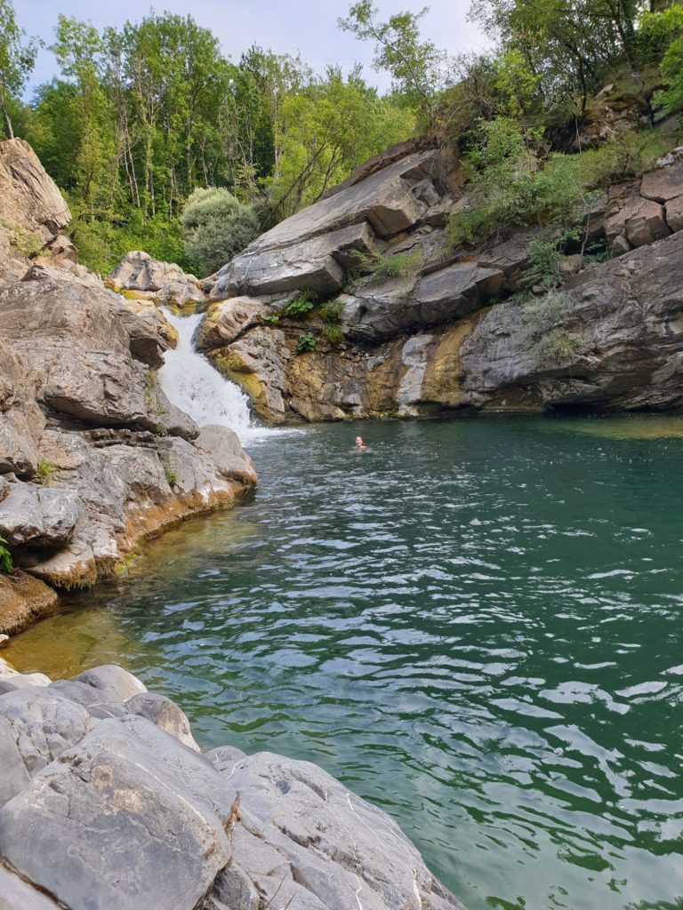 IMG-20220722-WA0009