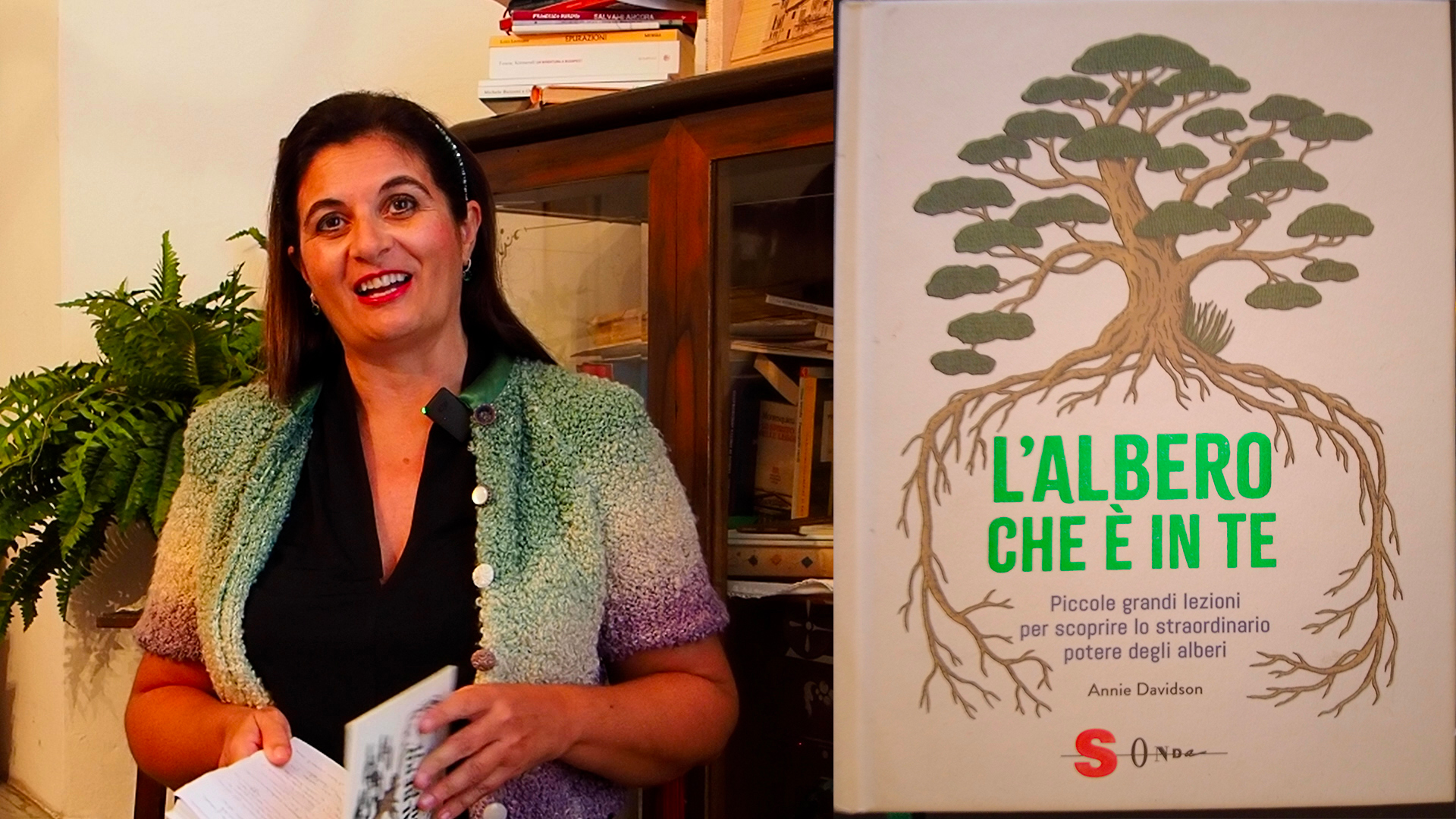 L'albero che è in te.00_01_27_07