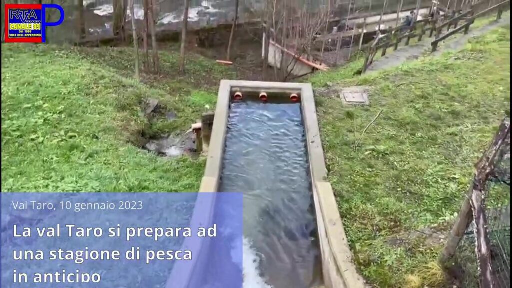 TGParmense_Moment_principale