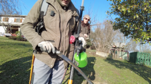 corso potatura mauro carboni