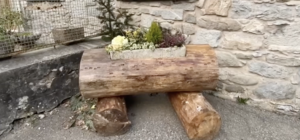 La foresta del Penna è sempre stata la fonte di vita di Santa Maria del Taro