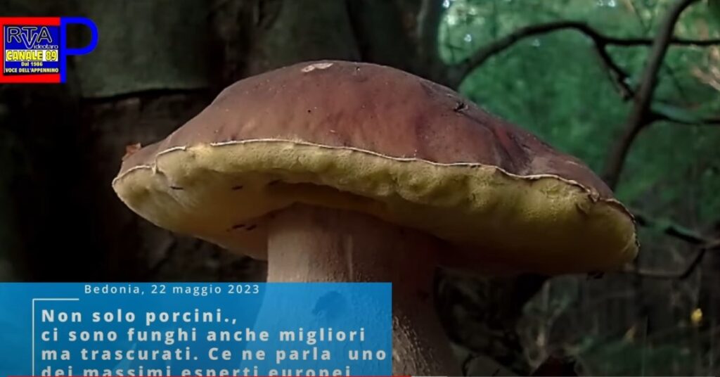 Immagine 2023-06-01 114958