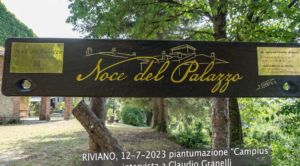 riviano noce del palazzo claudio granelli