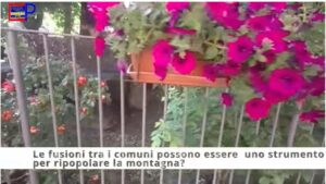 Immagine 2023-08-03 172111