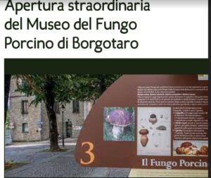 Immagine 2023-08-03 175350