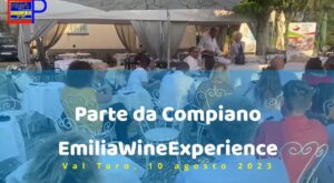 Immagine 2023-08-16 214419
