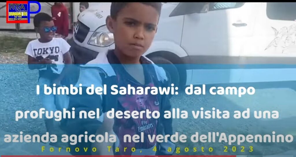 Immagine 2023-08-18 111955