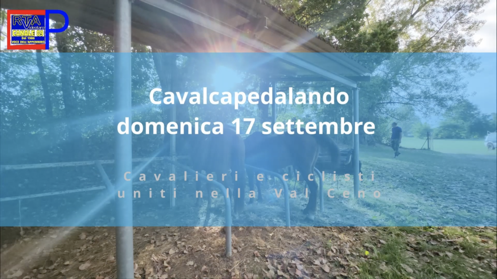 Screenshot 2023-09-20 alle 19.59.42