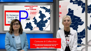 Collecchio candisati per internet