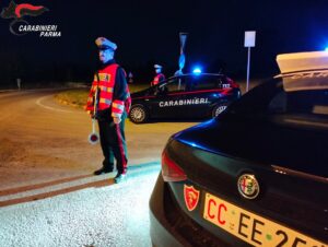 salso fornovo