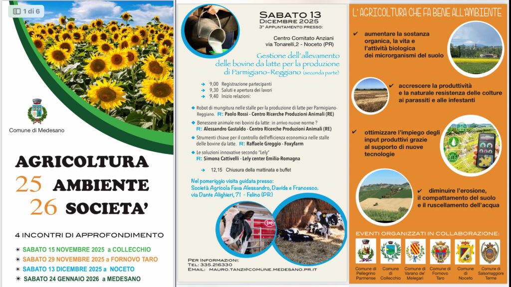 13D NOCETO bovine da latte