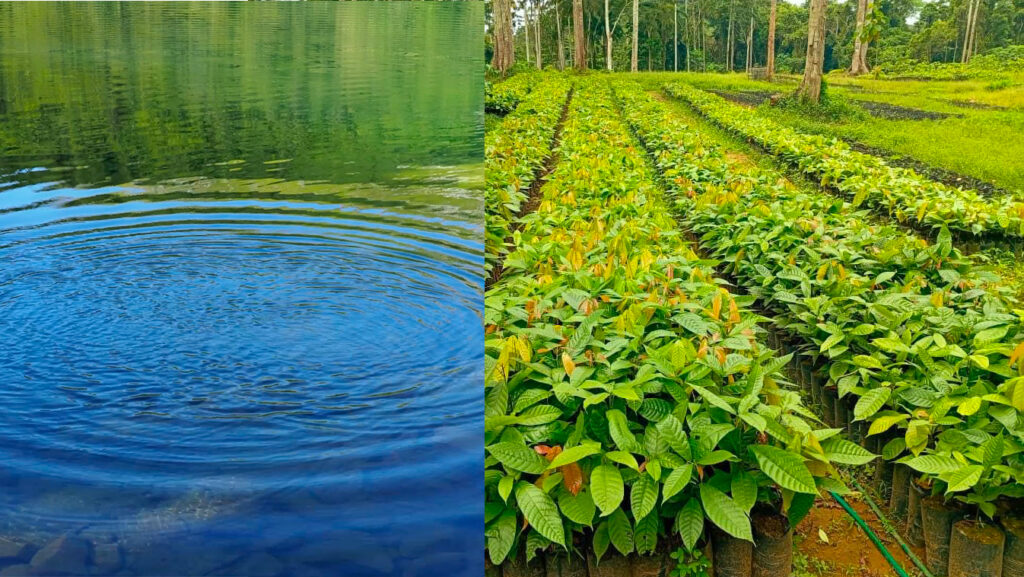 Africa e l'acqua