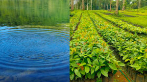 Africa e l'acqua
