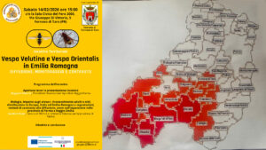 cartina provincia