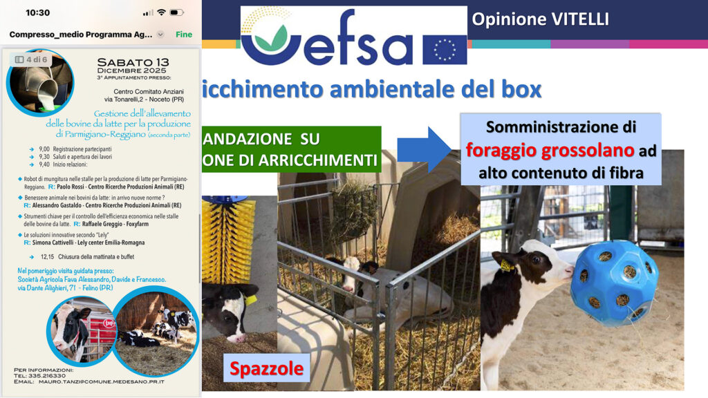 BENESSERE VITELLI18