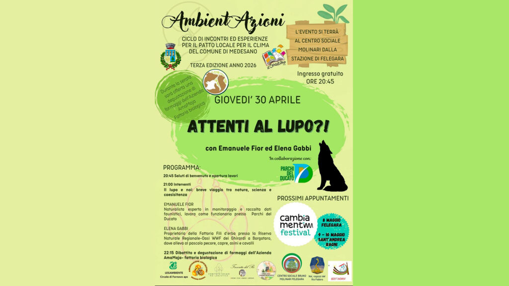 LOCANDINA LUPOSPECIALE